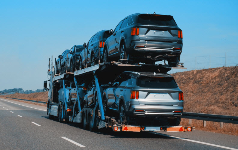 How Do I Confirm a Transporter’s Identity